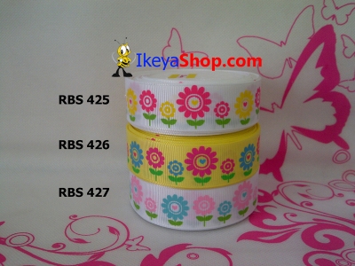 Pita RBS 425 427  large2